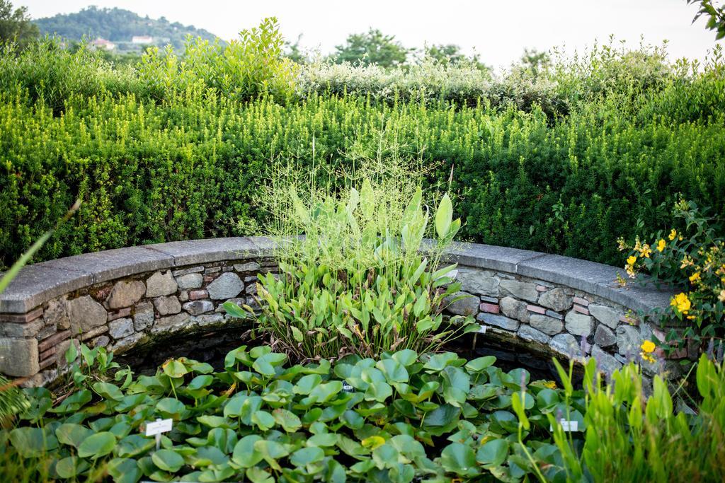 Residenza Ca De Frati Villa Arezzo Buitenkant foto
